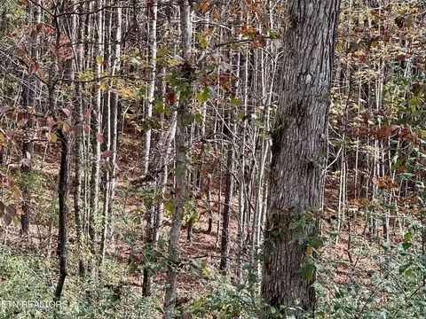 18 Lower Rockwood Road, Rockwood, TN 37854