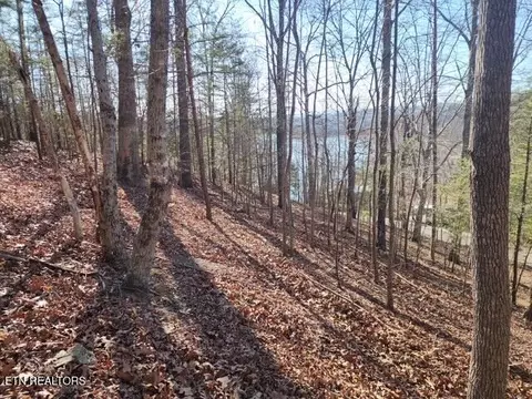 Deer Pond Circle, La Follette, TN 37766