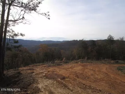 Poor Valley Rd, Rutledge, TN 37861 photo 8