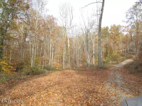Poor Valley Rd, Rutledge, TN 37861 photo 5