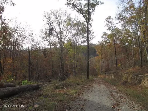 Poor Valley Rd, Rutledge, TN 37861 photo 10