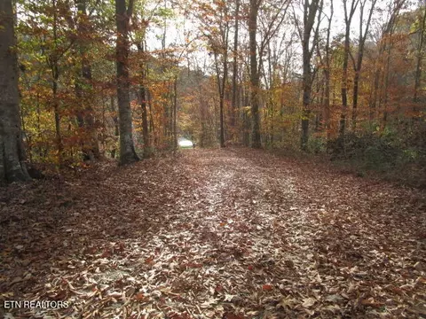 Poor Valley Rd, Rutledge, TN 37861 photo 12