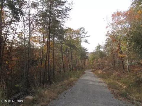 Poor Valley Rd, Rutledge, TN 37861 photo 4