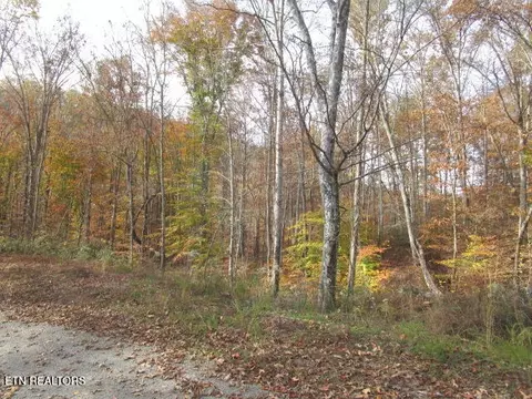 Poor Valley Rd, Rutledge, TN 37861 photo 11