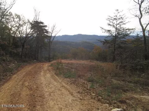 Poor Valley Rd, Rutledge, TN 37861 photo 6