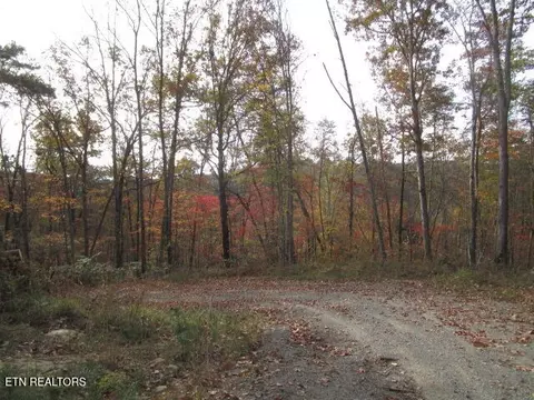 Poor Valley Rd, Rutledge, TN 37861 photo 9