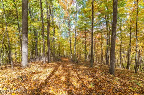 Hill Rd, Knoxville, TN 37938