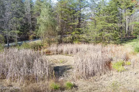 1240 Burks Loop, Grimsley, TN 38565 photo 13