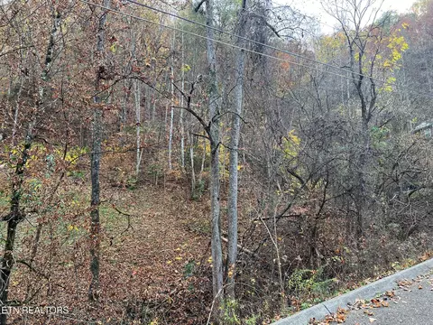 Pulaski Lane, Sevierville, TN 37862