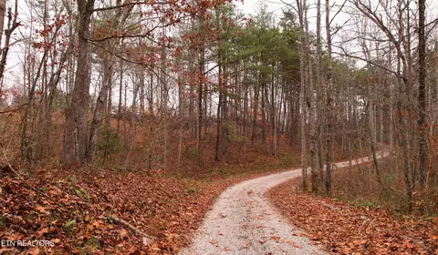 Locust Stump Ridge Rd, La Follette, TN 37766