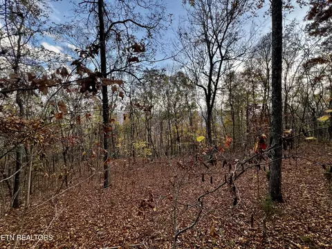 lot675 Chimney Rock Rd, New Tazewell, TN 37825