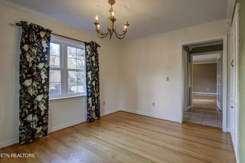 506 E 9th Ave, Johnson City, TN 37601 photo 17