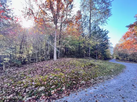 Lone Mountain Rd, New Tazewell, TN 37825