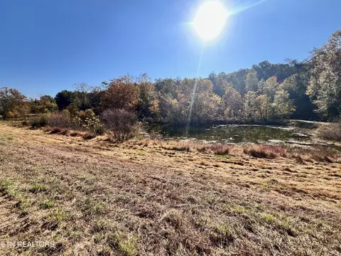 Lone Mountain Rd, New Tazewell, TN 37825