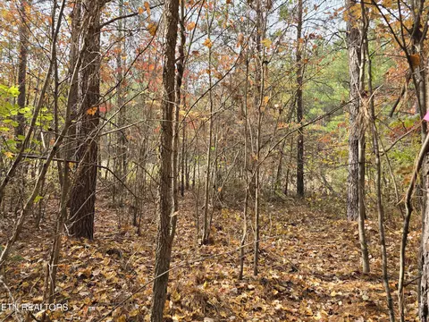 lot2 W Robbins Rd, Robbins, TN 37852