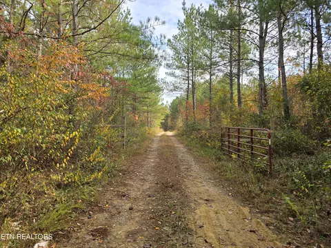 lot4 W Robbins Rd, Robbins, TN 37852