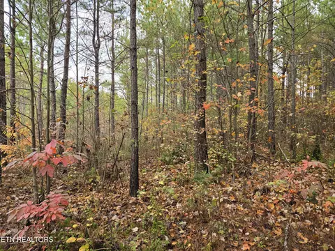 lot5 W Robbins Rd, Robbins, TN 37852