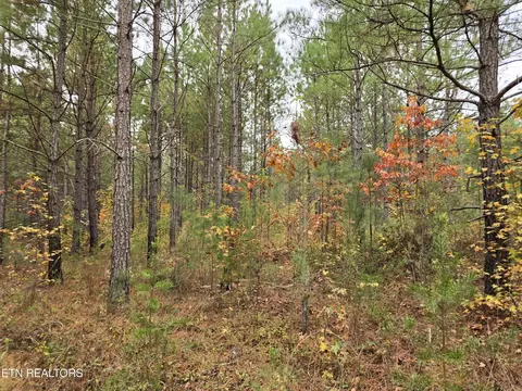 lot7 Everette Ln, Robbins, TN 37852