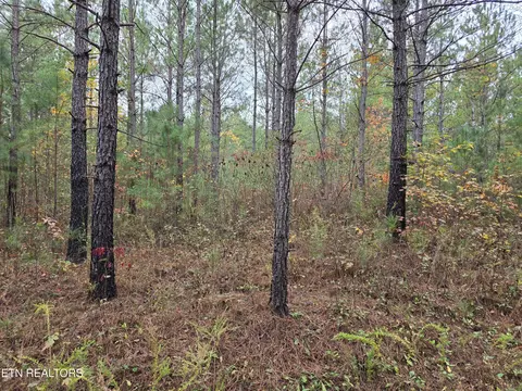 lot8 Everette Ln, Robbins, TN 37852