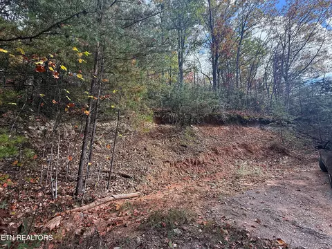 1 41 Acres Green Forest Rd, Cosby, TN 37722
