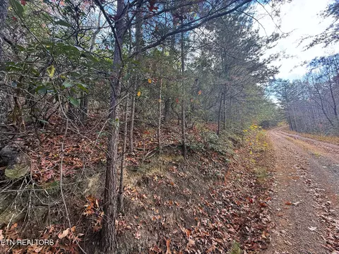 2 52 Acres Green Forest Rd, Cosby, TN 37722