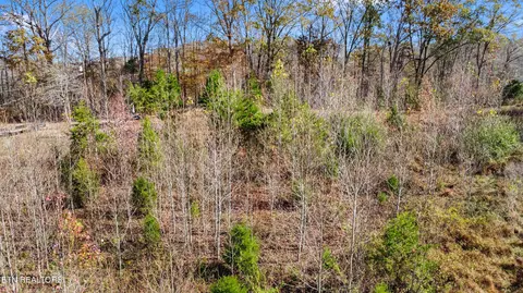 1273 Murrayville Rd, La Follette, TN 37766