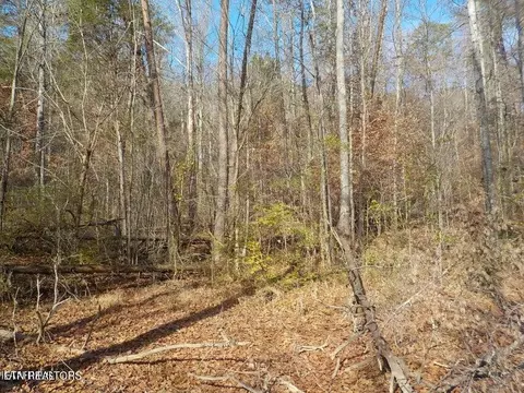 Mckinney Road, Blaine, TN 37709