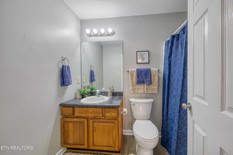 7913 Intervale Way, Powell, TN 37849 photo 5