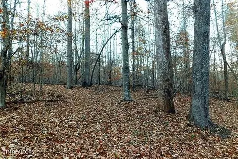 Other - 154 E Wolf Valley Rd, Heiskell, TN 37754 photo 3 of 11