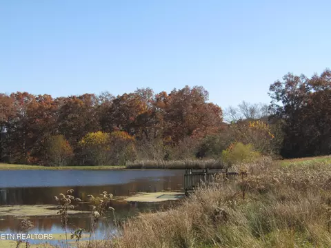 lot18 Hack Beaty Rd, Grimsley, TN 38565 photo 23