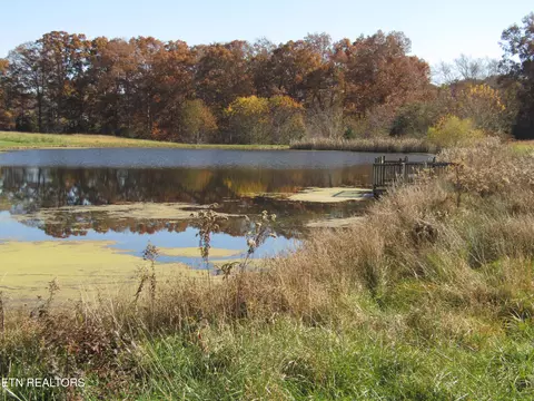 lot18 Hack Beaty Rd, Grimsley, TN 38565 photo 22