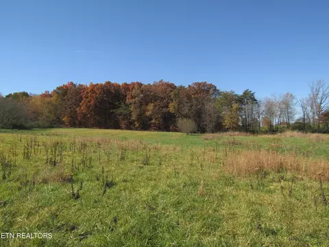 lot18 Hack Beaty Rd, Grimsley, TN 38565 photo 5