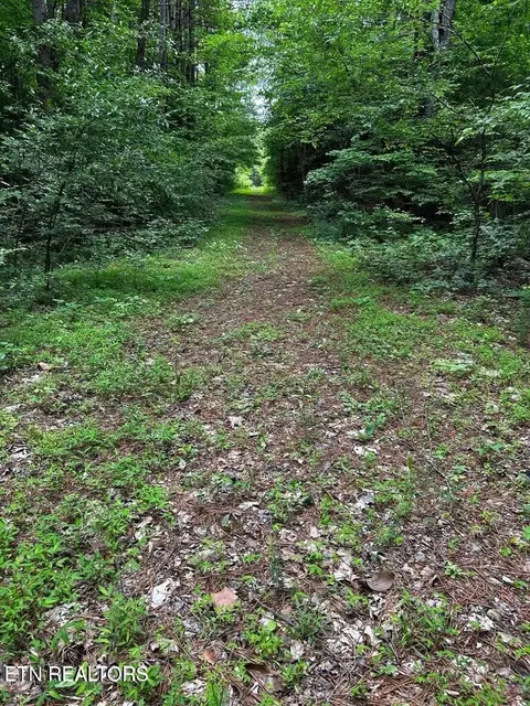 Ballplay Rd, Madisonville, TN 37354