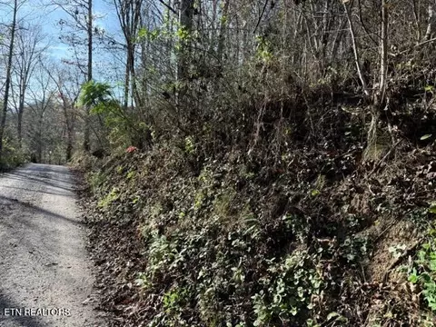 1550 Chapel Hollow Rd, Del Rio, TN 37727