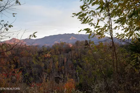 851 Sourwood Dr, Gatlinburg, TN 37738