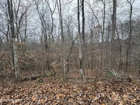 Knotty Pine Lane, Duff, TN 37729 photo 9