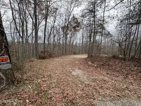 Knotty Pine Lane, Duff, TN 37729 photo 6