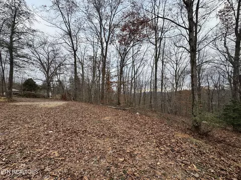Knotty Pine Lane, Duff, TN 37729 photo 12