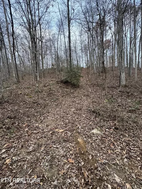 Knotty Pine Lane, Duff, TN 37729 photo 16