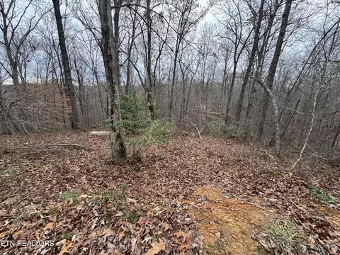 Knotty Pine Lane, Duff, TN 37729 photo 11
