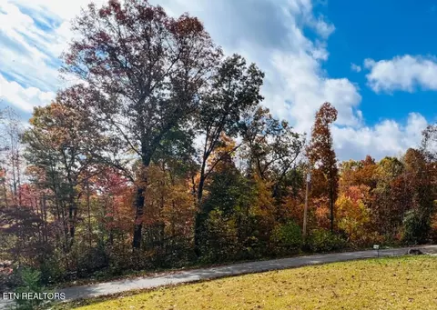 Knotty Pine Lane, Duff, TN 37729 photo 20
