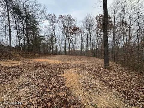 Knotty Pine Lane, Duff, TN 37729 photo 2