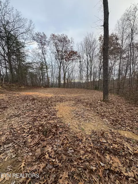 Knotty Pine Lane, Duff, TN 37729 photo 10