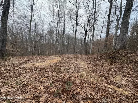 Knotty Pine Lane, Duff, TN 37729 photo 8