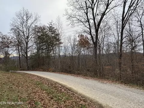 Knotty Pine Lane, Duff, TN 37729 photo 5