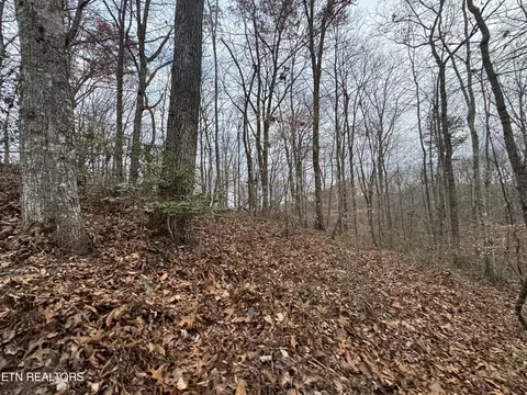 Knotty Pine Lane, Duff, TN 37729 photo 14