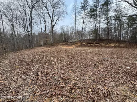 Knotty Pine Lane, Duff, TN 37729 photo 3