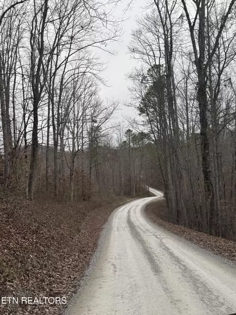 Knotty Pine Lane, Duff, TN 37729 photo 18