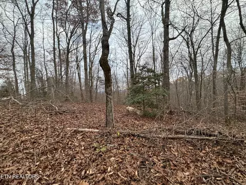 Knotty Pine Lane, Duff, TN 37729 photo 13