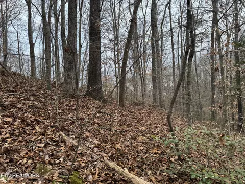 Knotty Pine Lane, Duff, TN 37729 photo 15